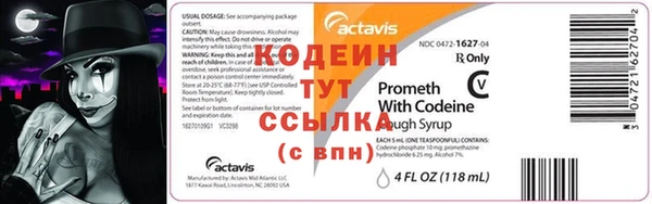 прущие грибы Киренск