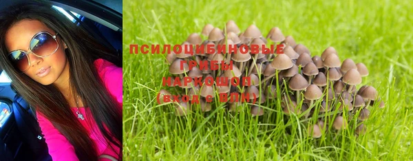 спиды Лагань